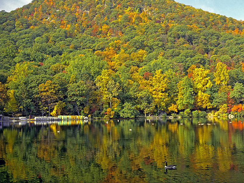 A mountain covered with changing trees sitting at the edge of the water where boats are lined up