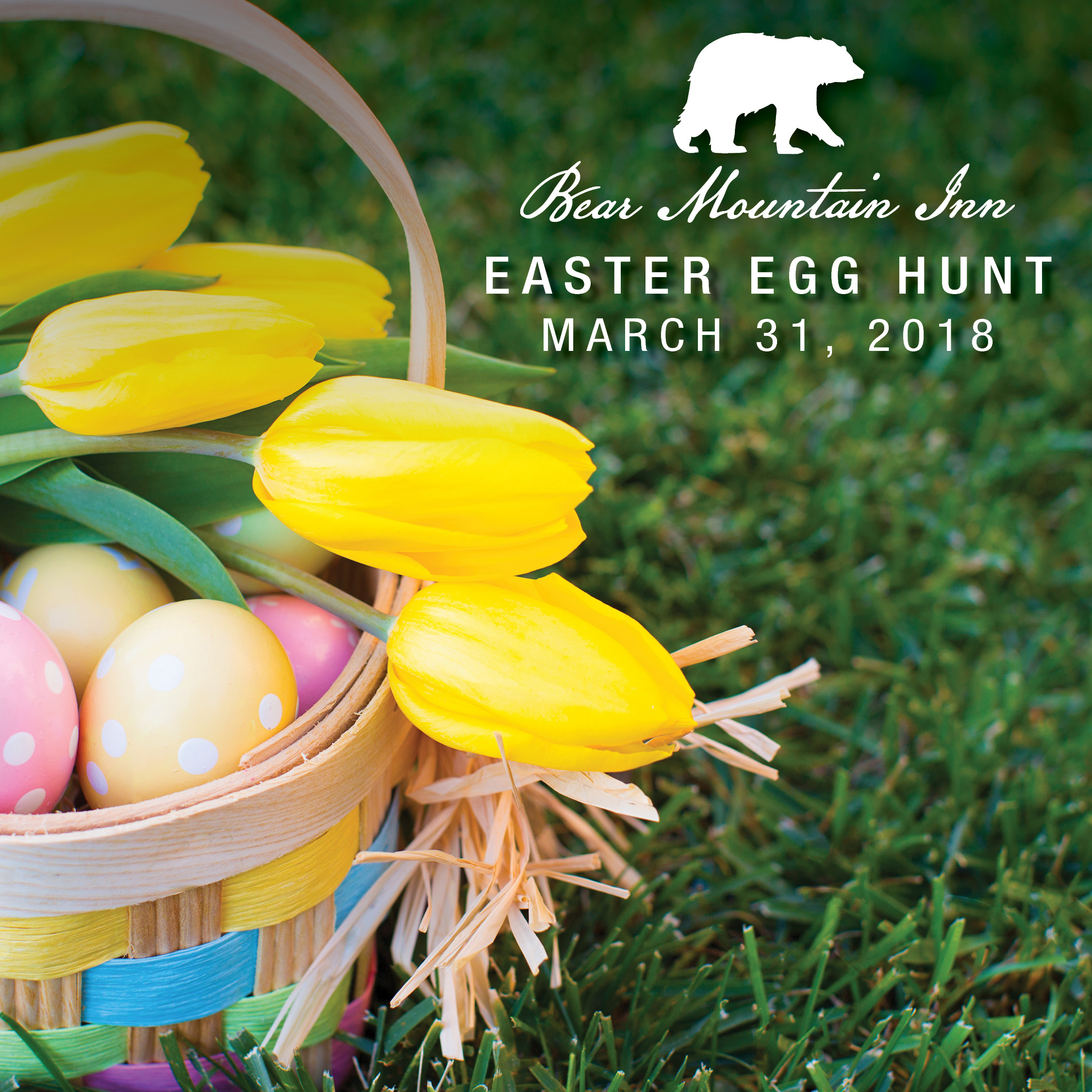 Easter egg hunt advertisement