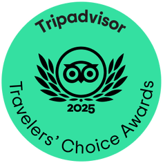 Trip Advisor 2025